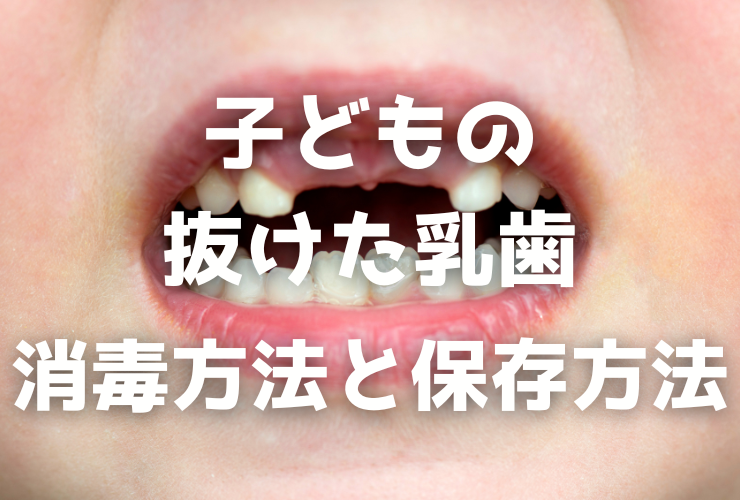 抜けた乳歯の保存方法