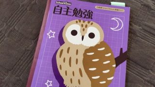 小学生の自主学習ネタとテーマ９選 先生に褒められる自主勉強はこれ チシキソ